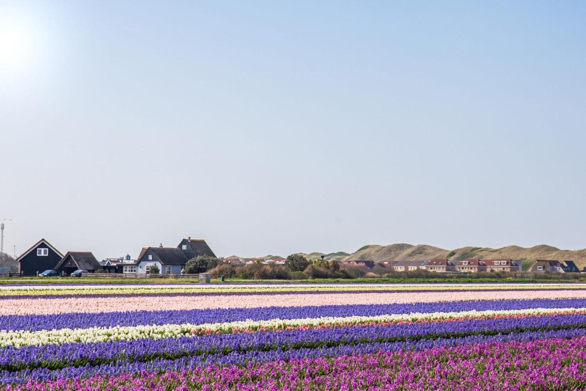 Beach Appartement 14 - Aan De Duinen, Callantsoog Aan Zee Exteriér fotografie