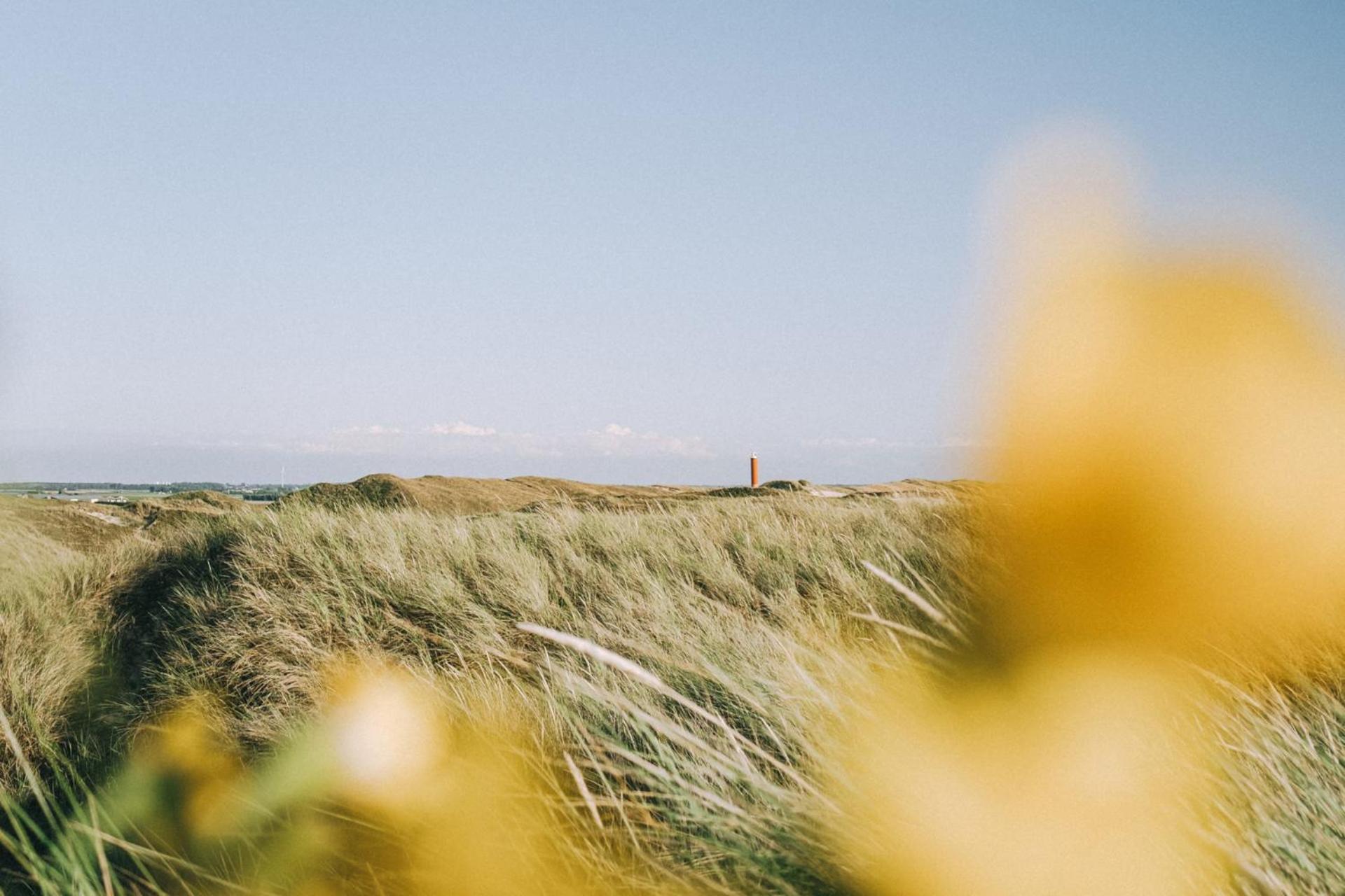 Beach Appartement 14 - Aan De Duinen, Callantsoog Aan Zee Exteriér fotografie
